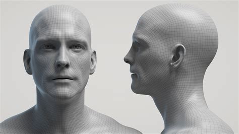 It indicates, "Click to perform a search". . Zbrush head base mesh